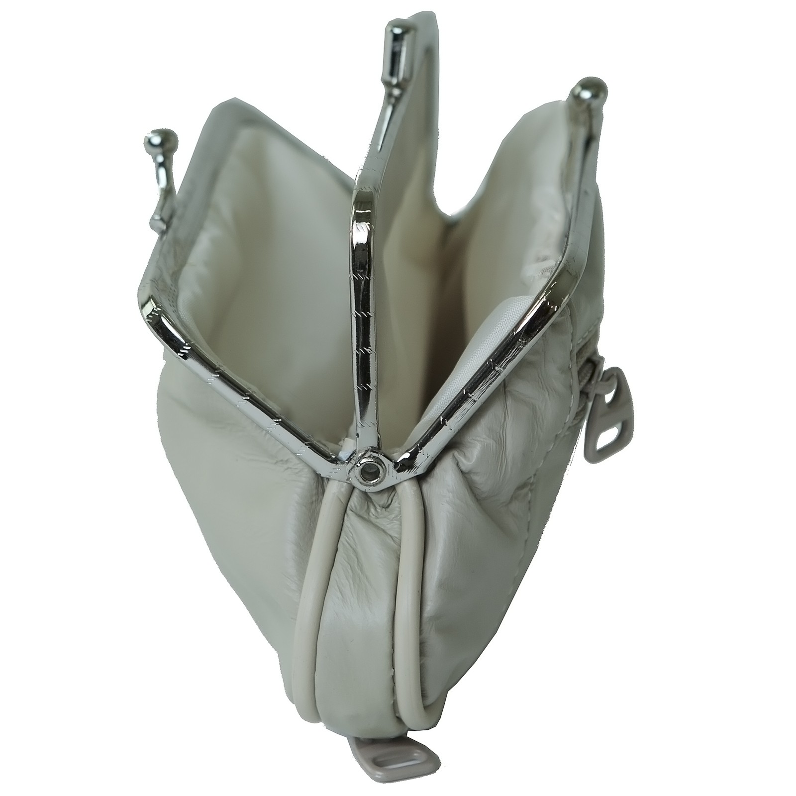 Small Coin Purse Metal Frames IUCN Water